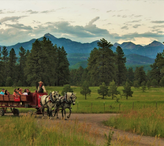 Buckaroos Horse-drawn Carriage