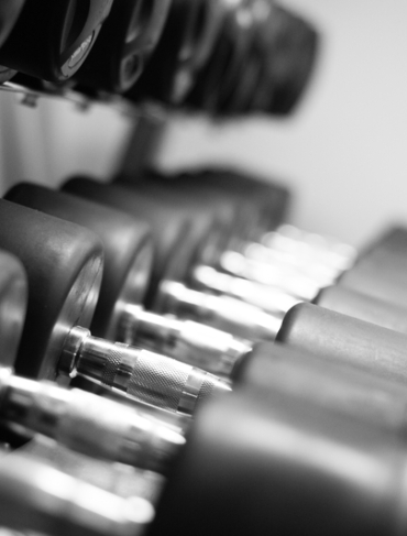 A close up of Dumbbells lined together