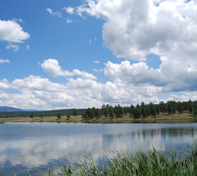 A scenic view of the blu sky, green lush and water