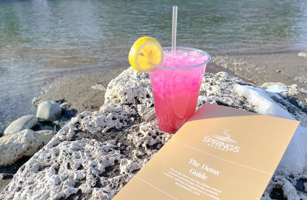 The Detox Guide