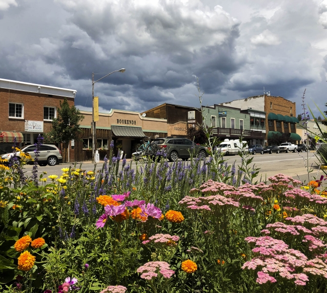 flower bed next to a street