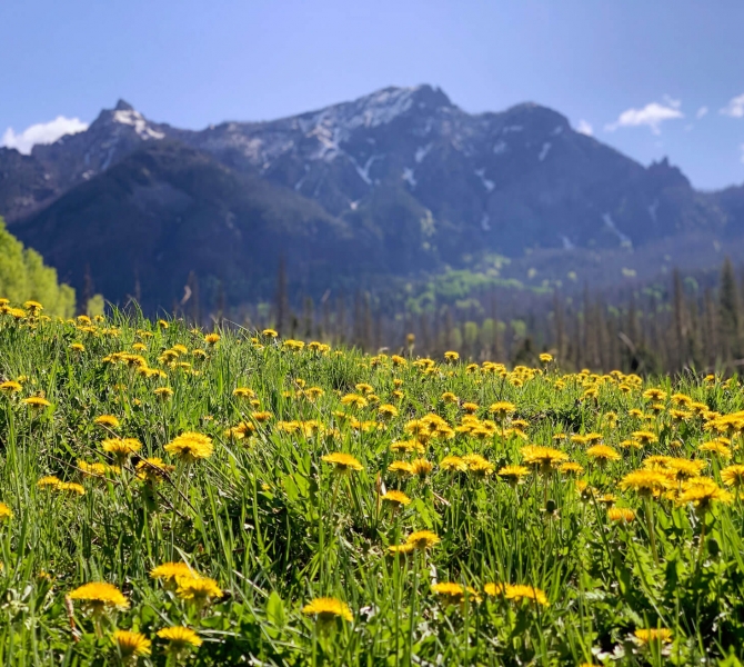 Find your next adventure in Pagosa Springs